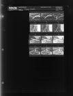 Plane Crash (12 Negatives), August 26-31, 1965 [Sleeve 103, Folder a, Box 37]